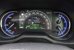 2019 Toyota RAV4 Cruiser