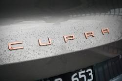 2025 CUPRA Tavascan Endurance