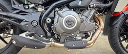 2024 HARLEY-DAVIDSON HD350-10 H-DX X350 ORANGE