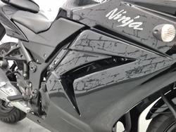 2010 Kawasaki Ninja 250R (EX250J) Ninja Black
