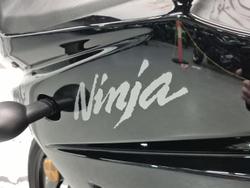 2010 Kawasaki Ninja 250R (EX250J) Ninja Black
