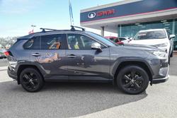 2020 Toyota RAV4 Cruiser