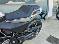 2024 HARLEY-DAVIDSON HD350-10 H-DX X350 Silver
