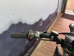 Kawasaki 2020 252CC Kawasaki KX252BLF GREEN