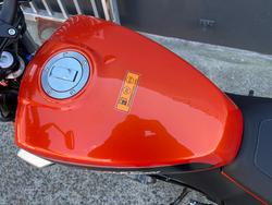 2024 HARLEY-DAVIDSON HD350-10 H-DX X350 ORANGE