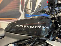 2024 Harley-Davidson X 350 X Black