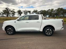 2020 GWM Ute Cannon-X