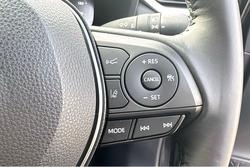 2023 Toyota RAV4 Cruiser