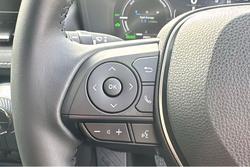 2023 Toyota RAV4 Cruiser