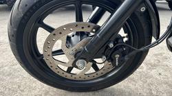 2020 HARLEY-DAVIDSON XG500 STREET 500 Black