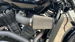 2020 HARLEY-DAVIDSON XG500 STREET 500 Black