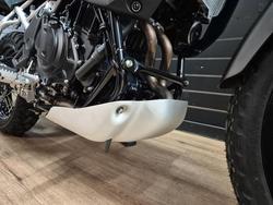 2026 Kawasaki KLE500 KLE500DTFAW Green