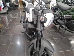 2024 Honda 2024 Honda 110CC NVA110 RED