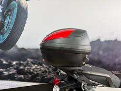 2020 Triumph TIGER 900 GT LOW WHITE