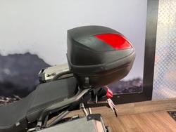 2020 Triumph TIGER 900 GT LOW WHITE