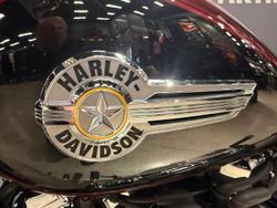 2022 Harley-Davidson Fat Boy 114 (FLFBS) Softail Black