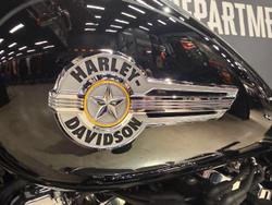 2023 Harley-Davidson Fat Boy 114 (FLFBS) Softail Black