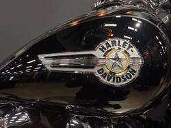 2023 Harley-Davidson Fat Boy 114 (FLFBS) Softail Black