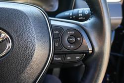 2024 Toyota RAV4 Cruiser