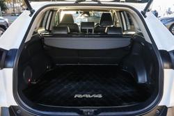 2021 Toyota RAV4 Cruiser
