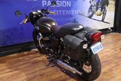 2019 Kawasaki W800 STREET (EJ800) Brown