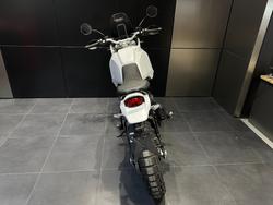 2025 Ducati DESERTX WHITE