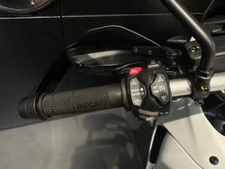 2025 Ducati DESERTX WHITE