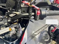 2025 Ducati DESERTX RALLY WHITE