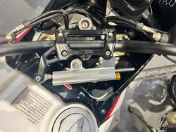 2025 Ducati DESERTX RALLY WHITE