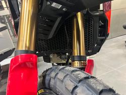2025 Ducati DESERTX RALLY WHITE