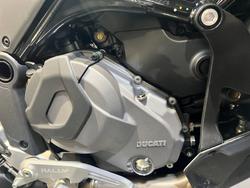 2025 Ducati DESERTX RALLY WHITE