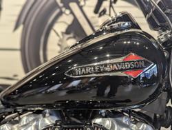 2021 Harley-Davidson Slim 107 (FLSL) Softail Black