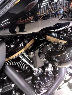 2022 Harley-Davidson Street Glide ST 117 (FLHXST) Touring Black