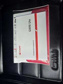 2022 GWM Ute Cannon-X