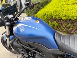 2021 Benelli 502C Blue