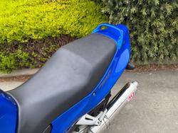 2005 Honda CBR1100XX (SUPER BLACKBIRD) Blue