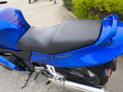 2005 Honda CBR1100XX (SUPER BLACKBIRD) Blue