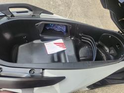 2024 Honda FORZA 350 (NSS350A) GREY