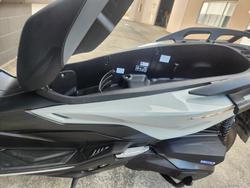 2024 Honda FORZA 350 (NSS350A) GREY