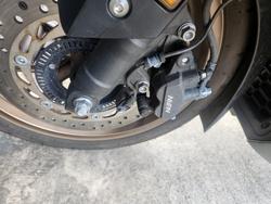 2024 Honda FORZA 350 (NSS350A) GREY
