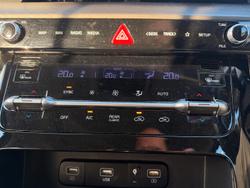 2021 Kia Carnival Platinum