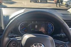 2019 Toyota RAV4 Cruiser