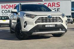2019 Toyota RAV4 Cruiser