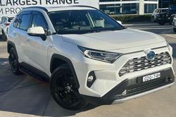2019 Toyota RAV4 Cruiser