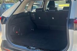 2019 Toyota RAV4 Cruiser