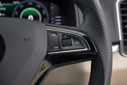 2019 SKODA
Karoq 110TSI
