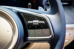 2025 GWM GWM TANK 500