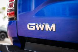 2022 GWM CANNON