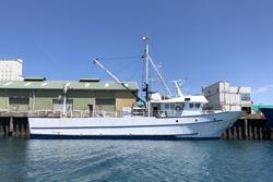1983 Custom MOTOR YACHT