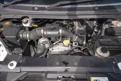2021 LDV
G10